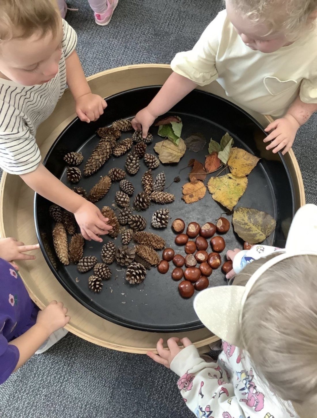 Children exploring pinecones, conkers and autumn leaves together